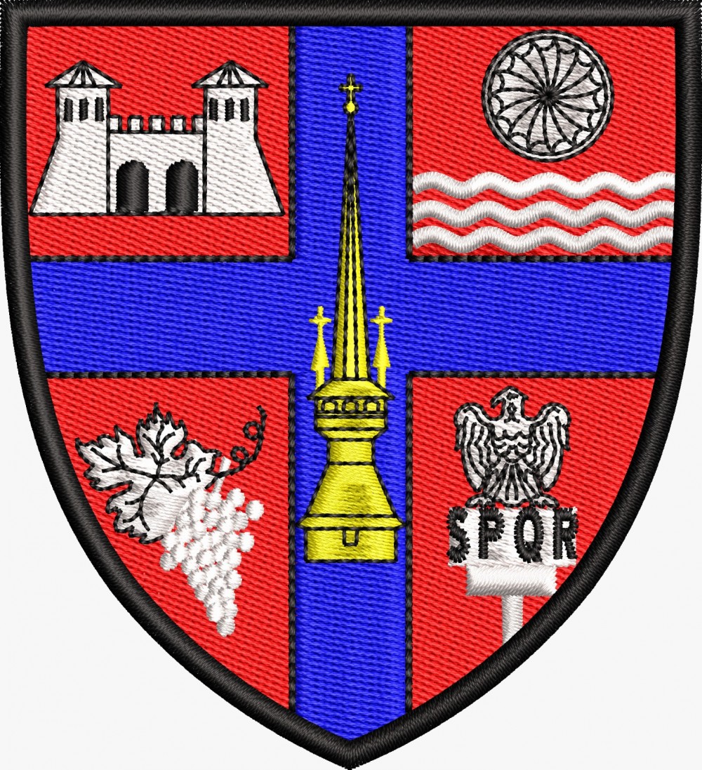 EMBLEMA SALAJ